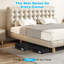 Ebern Designs Fabric Underbed Storage-1407898746