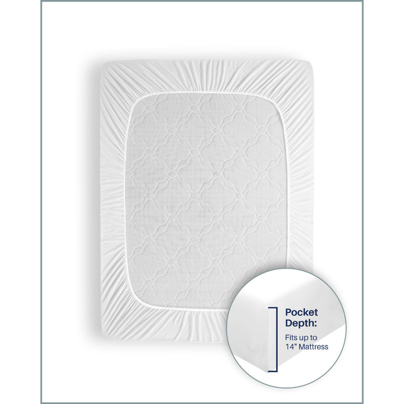Hospitality Cotton Blend Percale Fitted Sheet, Queen Fitted Sheet