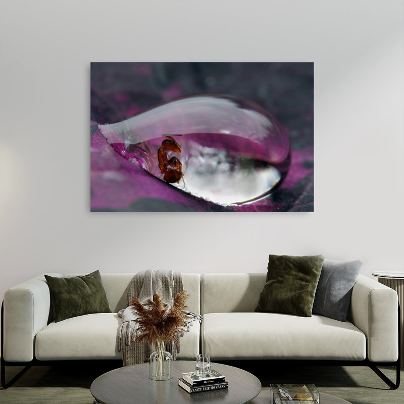 Ant In Water Drop Abstract Delicate Contemporary Ant Nature Wall Art Print by Jimmy Hoffman - Print, 101.6cm H x 152.4cm W