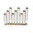 Elegant Glass Vial Flower Vase with Bronze Metal Frame, Perfect for Versatile Floral Displays and Home Decor.