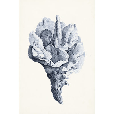Blue Antique Coral III 1 Piece Wrapped Canvas Painting