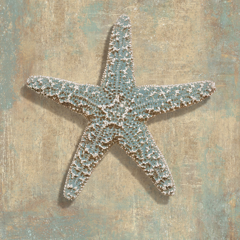 Aqua Starfish by Caroline Kelly - Wrapped Canvas Print, 76cm H x 76cm W