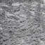 Animal Print Velvet | Empress Fabric-1656985864