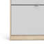 Shoes 9 Pair Shoe Storage Cabinet-1213974961