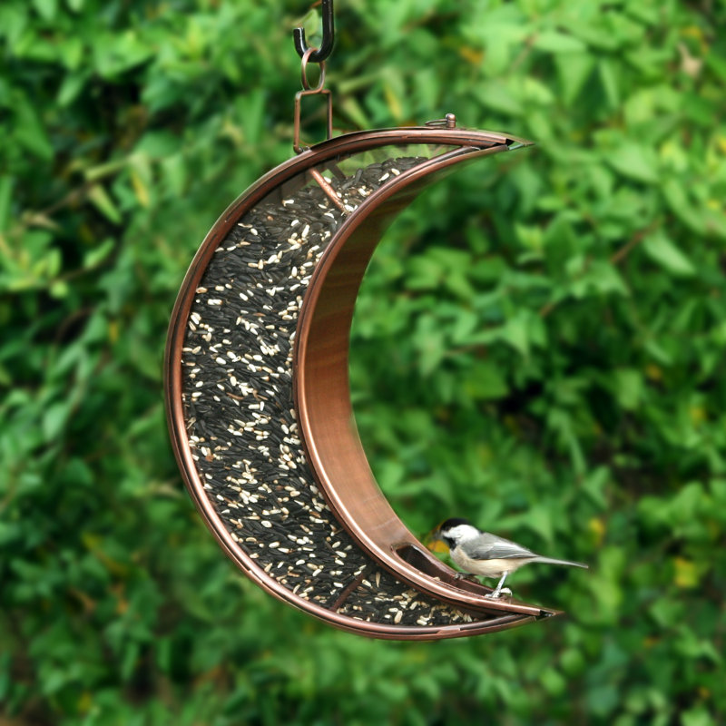 Mangeoire d'oiseaux Barnab