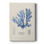 Algues bleues bleues - galerie Cavas sur mesure-1877144768