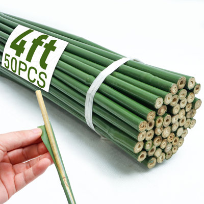 50Pcs 4Ft Natural Bamboo Poles