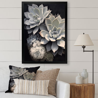 " Grey White Resilience Succulent "
