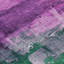 Tapis mauve intérieur / extérieur lavable à la machine Claudian ACN1479-109534107