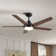 Modern Ceiling Fan with Light 48'' 5-Blade Ceiling Fan With Light Kit And Dimmable LED Light Kit