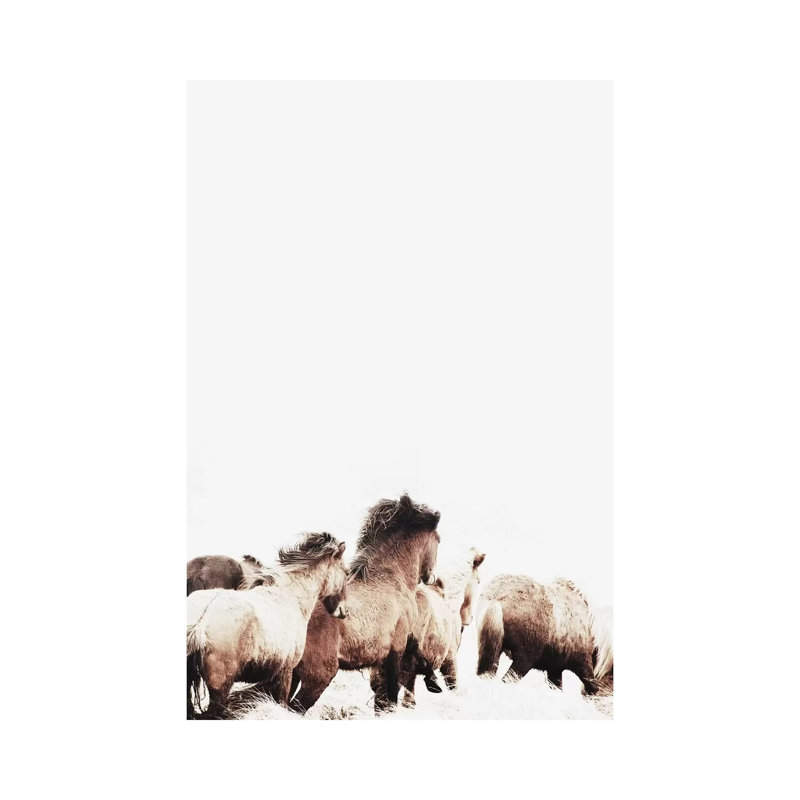 Wild And Free Horses Of Iceland II by Monika Strigel - Wrapped Canvas Painting, 101.6 cm H x 66.04 cm W x 1.91 cm D