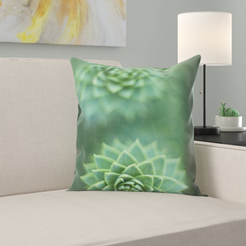 Coussin succulent