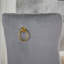 Dining Chair (No Including Dining Table)