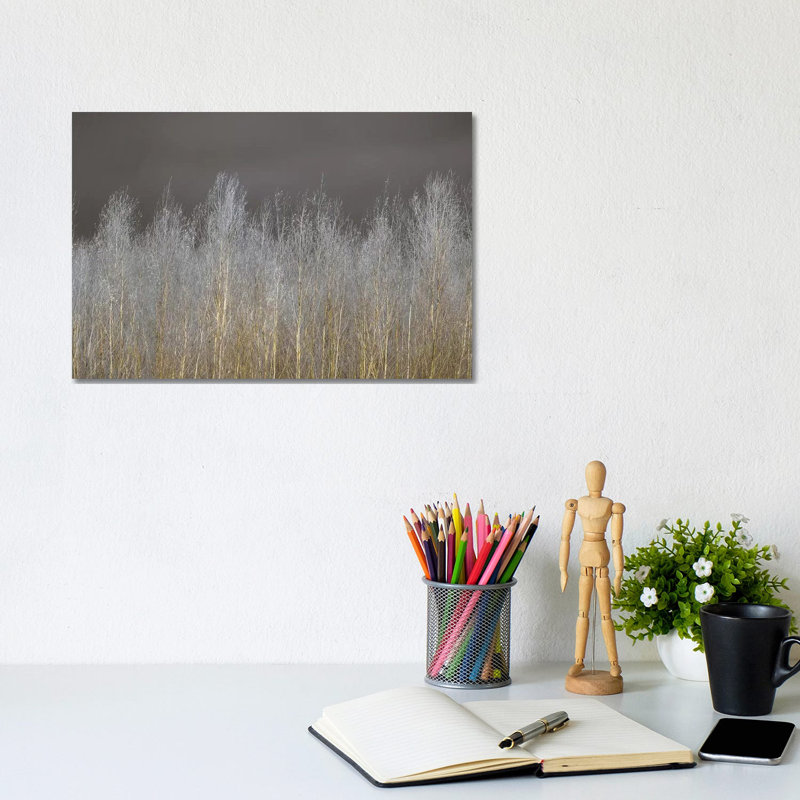 Silver Forest by Assaf Frank - Print on Canvas, 101.6 cm H x 66.04 cm W x 1.91 cm D, Wrapped Canvas