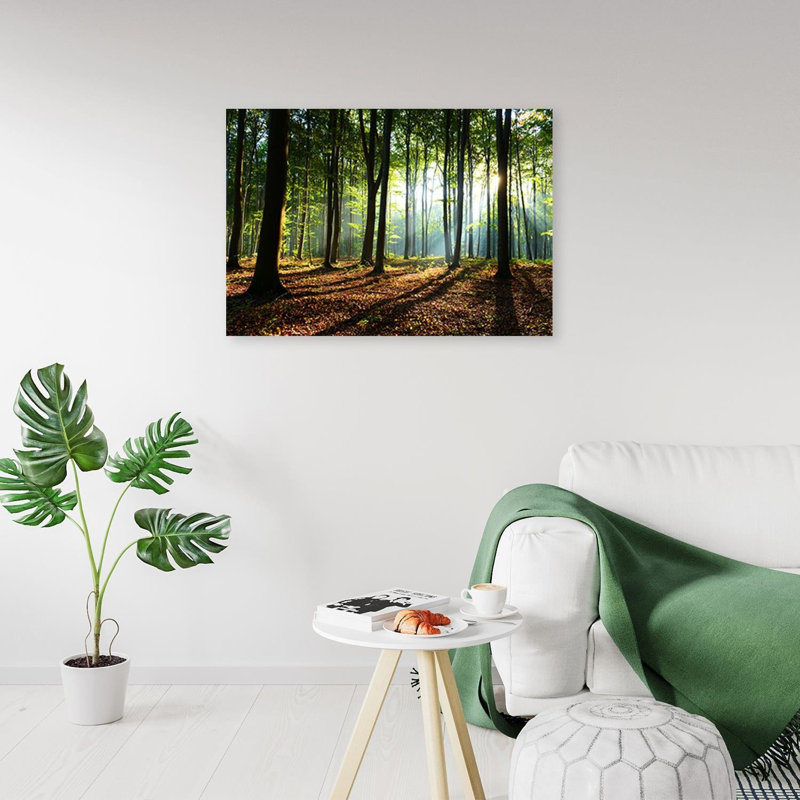Forest At Sunrise - No Frame Print on Canvas, 60cm H x 90cm W