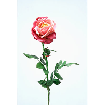 Tige de rose