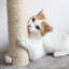  Arbre à chat avec poteaux à griffer PETMAker 4 pi, blanc