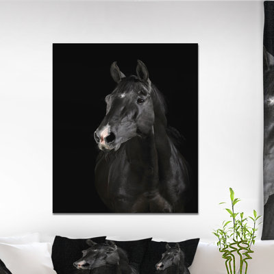 «Black Horse in Darkness», reproduction de photo sur toile tendue