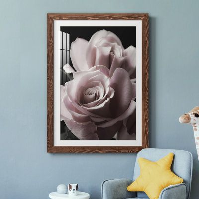 Rose noire II - photographie