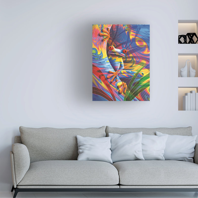 Art sur toile, grenouille psychédélique, Michael David, H 18 po x l 24 po