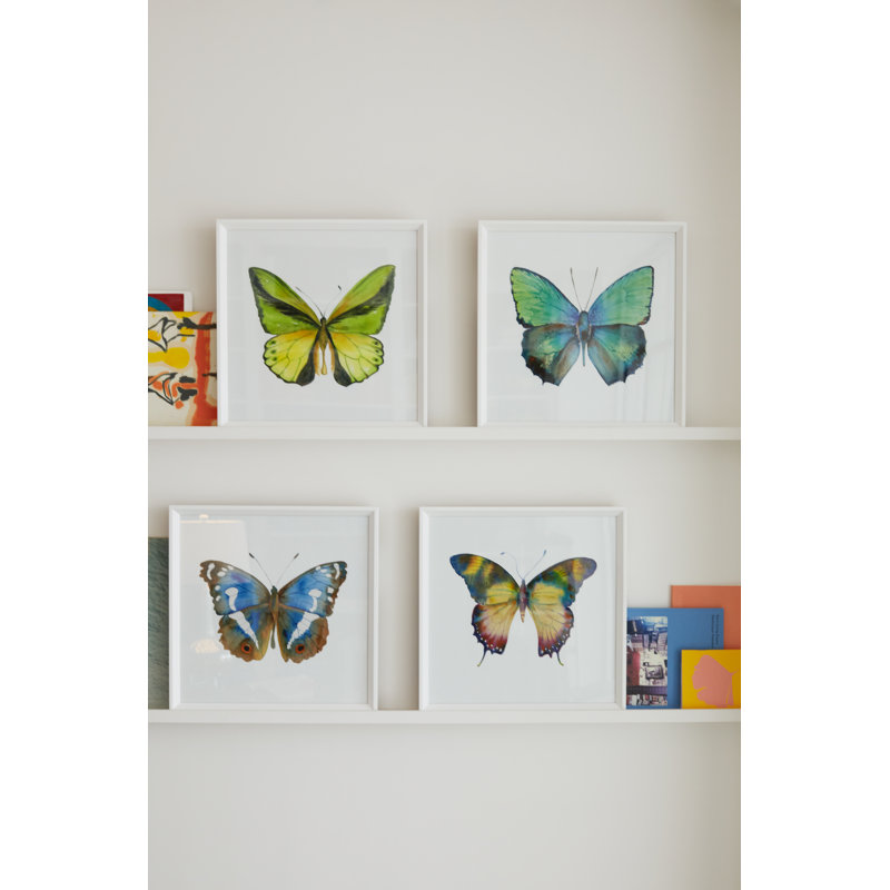 Butterfly Study 7' Framed Graphic Art Print on Glass