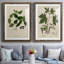 Lin et feuilles I - ensemble de 2 reproductions d'art sur papier encadré-317519723-317519632