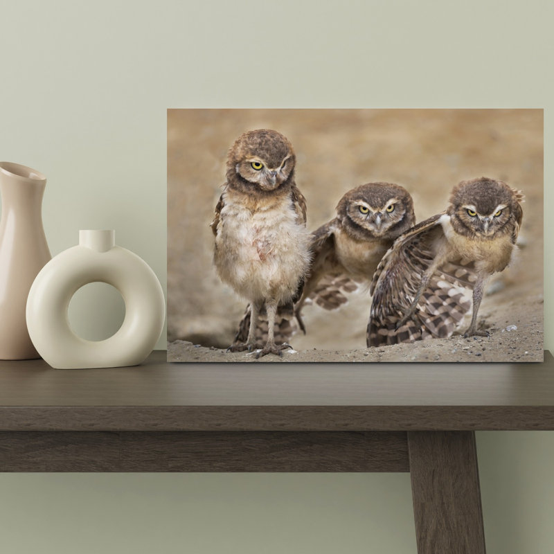 Three Glaring Owls Abstract Contemporary Bird Owl Forest Landscape Wall Art Print 1 Piece Wrapped Canvas Wall Art