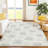 Machine Washable Indoor/Outdoor Bourkelands ACN2352 Casual Rug-1981680009