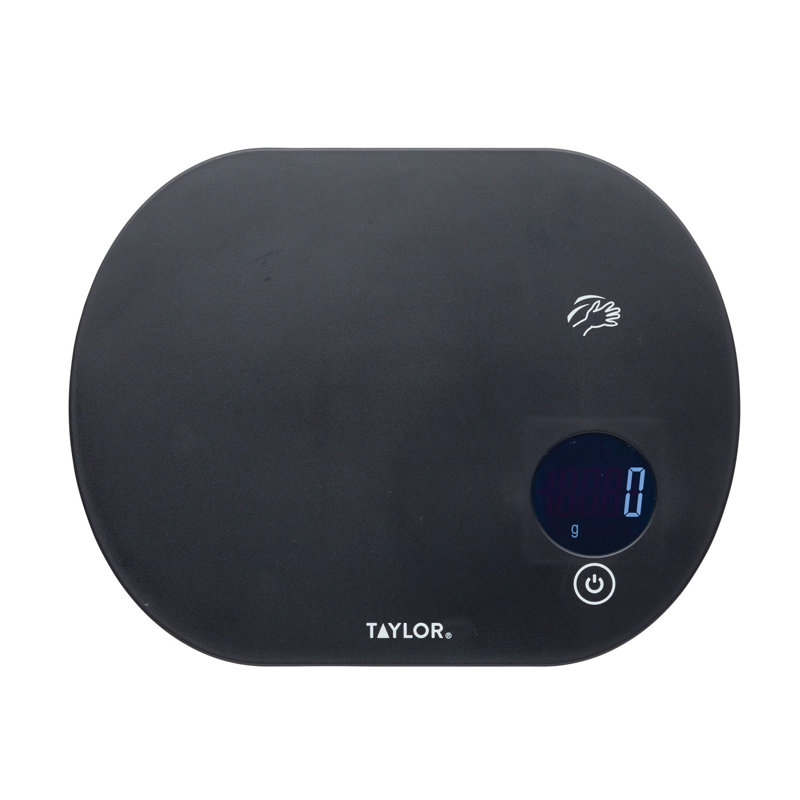 Taylor Pro Digital Scale