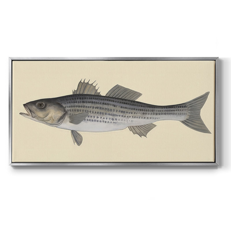 «Saltwater Species I» - Toile tendue avec châssis encadré - Prêt à être accroché, Argent argent