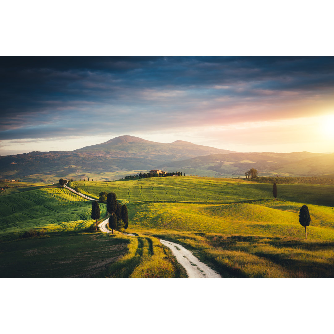 Tuscany Hills von Borchee - Kunstdrucke auf Leinwand