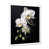 White Single Picture Framed selected