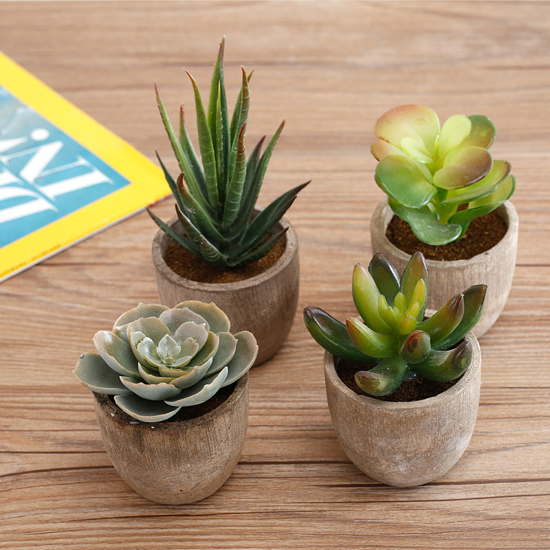 Ensemble de 4 plantes grasses artificielles en pot 0,75 po