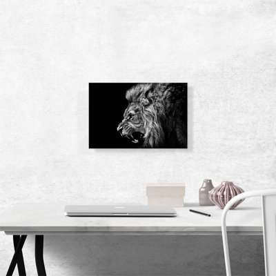 " Roaring Lion Black And White "