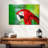 Brampt Jungle Scarlet Macaw-107854916