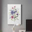 " Colour Variety II "-812655071