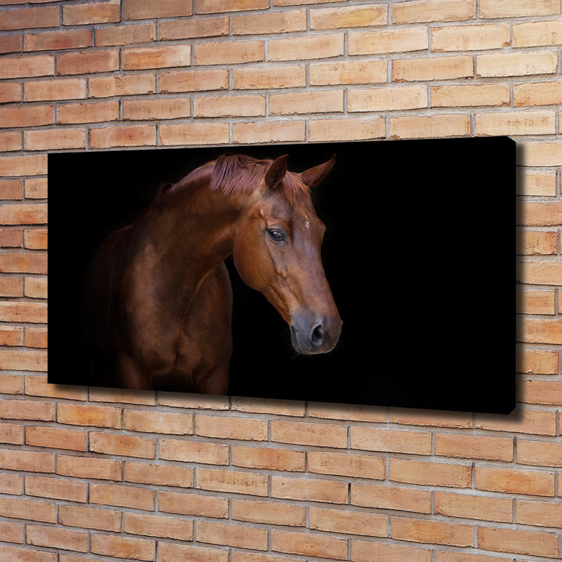 Brown Horse - Wrapped Canvas Print, 60cm H x 120cm W