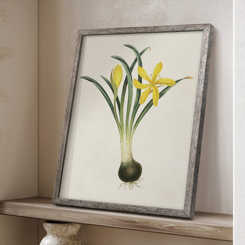 Fleurs des saisons VI, reproduction encadrée - bois massif, H 11 po x l 9 po