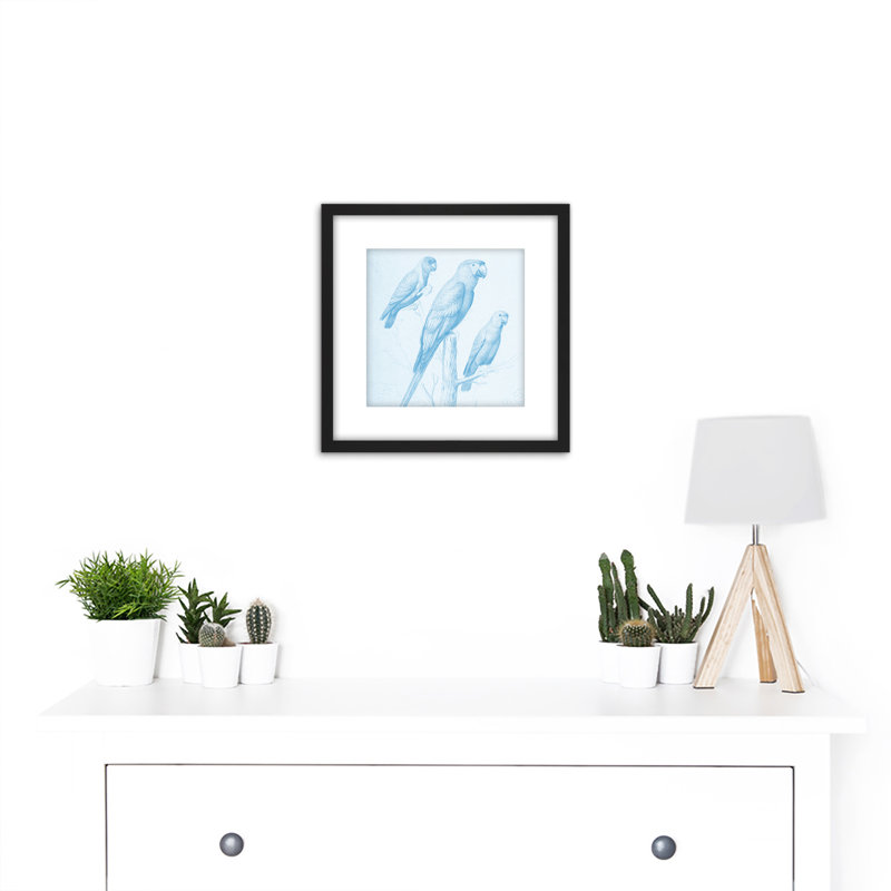 Robert Three Parrots Drawing - Single Picture Frame Print