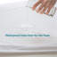 Ashtabula Orthopedic Cotton Pet Bed