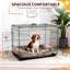 Dog House