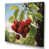 Wrapped Canvas selected