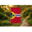 Drapeau de la ville de Saint-Louis — Drapeau extérieur
