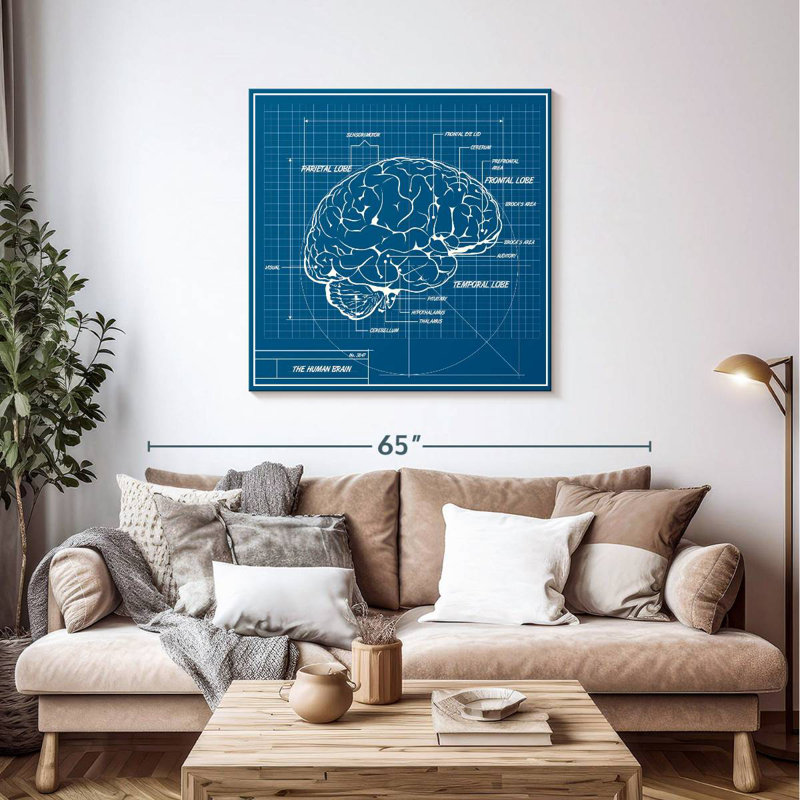 Schéma du cerveau humain Keiri, H 39 po x l 39 po