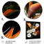 Birds Of Paradise Paradise I sur impression métallique-820929333