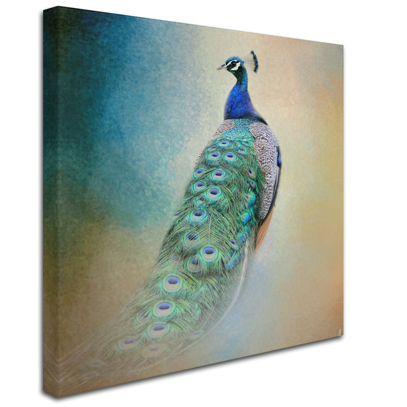 «Vidur Peacock 4» par Jai Johnson, reproduction d'art graphique sur toile, H 35 po x l 35 po