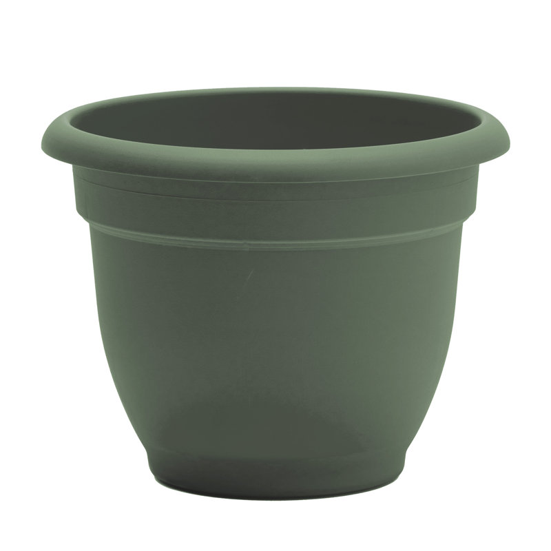Pot à fleurs intérieur / extérieur Traditional, H 10,25 po x l 13 po x P 13 po, Vert