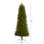 Slender Green Realistic Artificial Spruce Feather Christmas Tree with Clear/White Lights