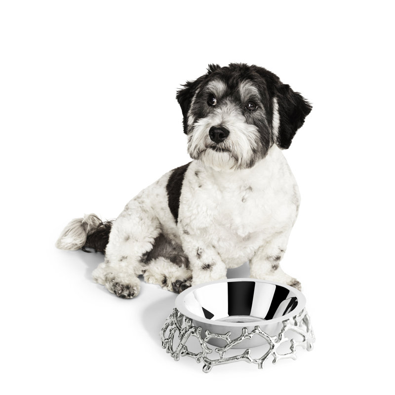 Flights of Fancy Bone Dog Bowl