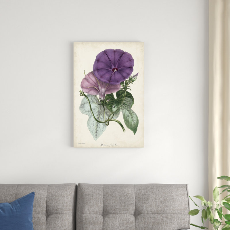 Plum Morning Glory, H 30 po x l 20 po x P 1,25 po